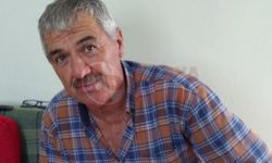 Çıktığı erik ağacı sonu oldu!