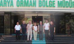 Trabzonlular Derneği, ağaçlandırma için harekete geçti