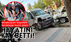 Direksiyon başında fenalaşıp kaza yaptı: Hayatını kaybetti!