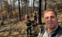Geyve'de yanan ormanlık alanlar yeniden yeşeriyor