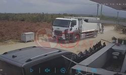 Yola fırlayan iki köpek çöp kamyonunun altında kaldı