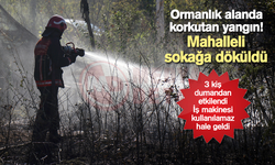 Ormanlık alanda korkutan yangın!
