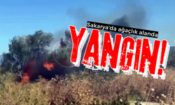 Sakarya'da ağaçlık alanda yangın!