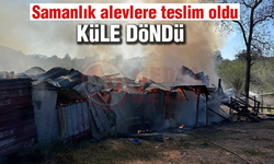 Samanlık alevlere teslim oldu
