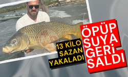 13 kilo sazan yakaladı: Öpüp suya geri saldı