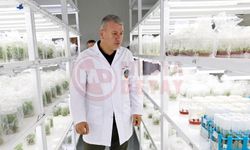 "Serdivan İnciri" marka oluyor