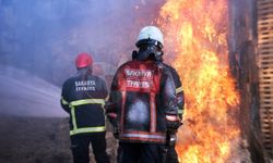 Sakarya'da korkutan ahşap atölyesi yangını