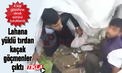 Lahana yüklü tırdan kaçak göçmenler çıktı