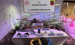 İklimlendirme sistemi ile kapalı ortamda kenevir yetiştiriyordu!