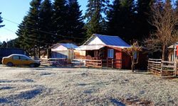 Sakarya'da mevsimin ilk karı yağdı