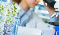 Laboratuvar denetimlerinde yeni kural!