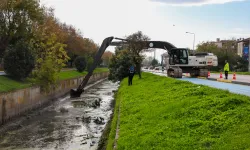 Sakarya Çark Deresi'ne nefes