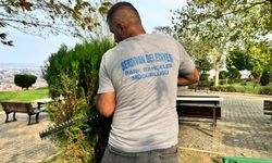 Serdivan'da yeşil alan bakım çalışması