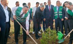 AK Parti Sakarya’dan Yeşil Vatan Seferberliği’ne güçlü destek