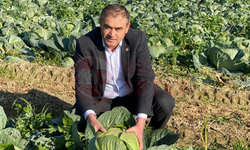 Kaynarca Lahana Pazarı’ndaki  fiyatlar üreticiyi üzdü