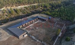 Hayvan barınağı projesinde sona gelindi