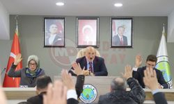 7 madde karara bağlandı