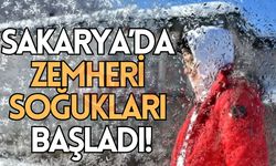 Sakarya’da zemheri soğukları başladı!