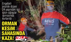 Orman kesim sahasında kaza!