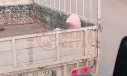 Soğuk havada yürek sızlatan yolculuk