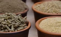 Yönetmelikte değişiklik: Gıdadan yeme büyük dönüşüm!