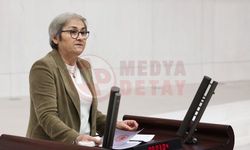 CHP’li Taşkent’ten Sağlık Bakanlığı’na soru önergesi