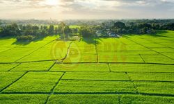 Konut imarlı arsada tarihi artış!