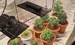 Evlerinin odasını uyuşturucu serasına çevirmişler