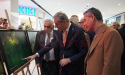 Sapanca Gölü fotoğraflarının geliri Gazze'ye