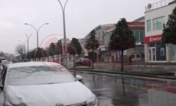 Sakarya'da lapa lapa kar yağışı etkili oldu