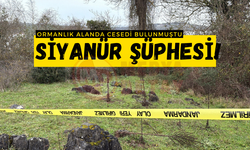 Ormanlık alanda cesedi bulunmuştu: Siyanür şüphesi!