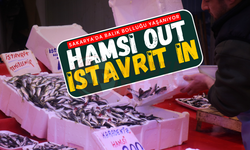 Sakarya'da balık bolluğu yaşanıyor