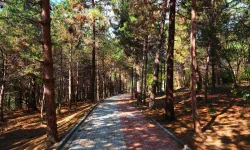 Sapanca Gölü'nde huzur dolu yaşam alanı açıldı