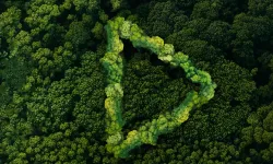 Yeşil Vatan finalistleri belli oldu...