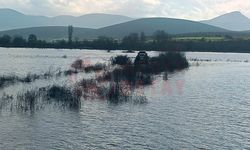 Balık tutmak isteyen 2 kişi mahsur kaldı