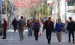 Sakarya'da şubat ayında bahardan kalma günler yaşanıyor
