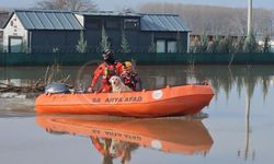 Taşkında mahsur kalan hayvanlar kurtarılmaya devam ediyor
