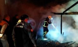 Ferizli'de odunluk alanda yangın!