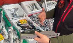 “Doğal kaynaklarımızı  korumakta kararlıyız”