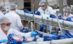 Et ve Süt Kurumu o iddialara cevap verdi: Aksaklık yok!