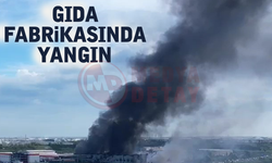 Gıda fabrikasında yangın!