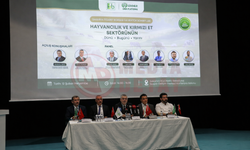 Hayvancılık ve kırmızı et sektörü masaya yatırıldı!