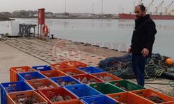 Karasu’da kaçak avcılığa dev darbe!