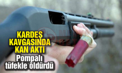 Kardeş kavgasında kan aktı!