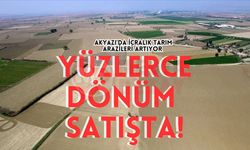 Akyazı’da icralık tarım arazileri artıyor