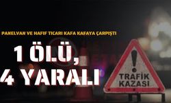 Panelvan ve hafif ticari kafa kafaya çarpıştı