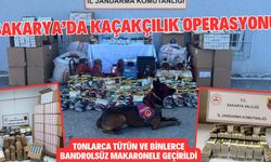 Sakarya’da kaçakçılık operasyonu