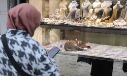 Bu kedi altınların arasında uyuyor