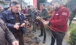 2 bin meyve fidesi dağıtıldı