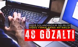 Siber dolandırıcılık gelirleri döviz firmalarına aktarıldı
